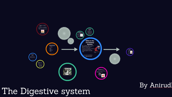 The Digestive system by ipadgrade4 ipadgrade 4 on Prezi
