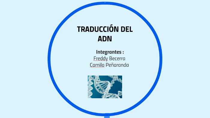 TRADUCCIÓN DEL ADN by Freddy Becerra