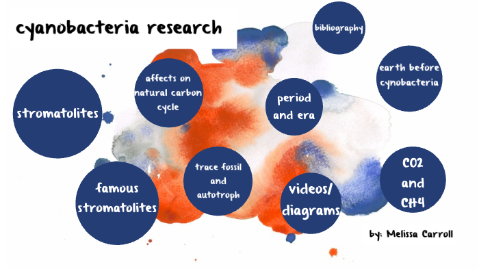 a-geological-phenomenon-by-melissa-carroll