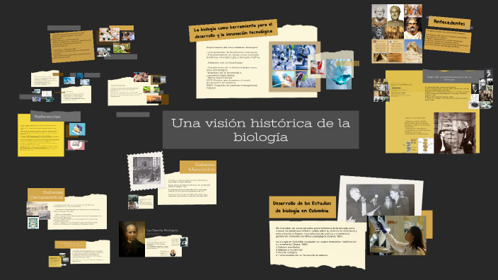 by Camila on Prezi
