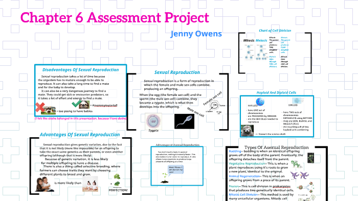 Chapter 6 Assessment Project by Jenny Owens on Prezi