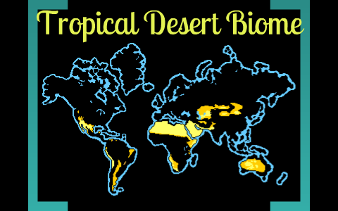 Tropical Desert Biome by Savannah Tart on Prezi