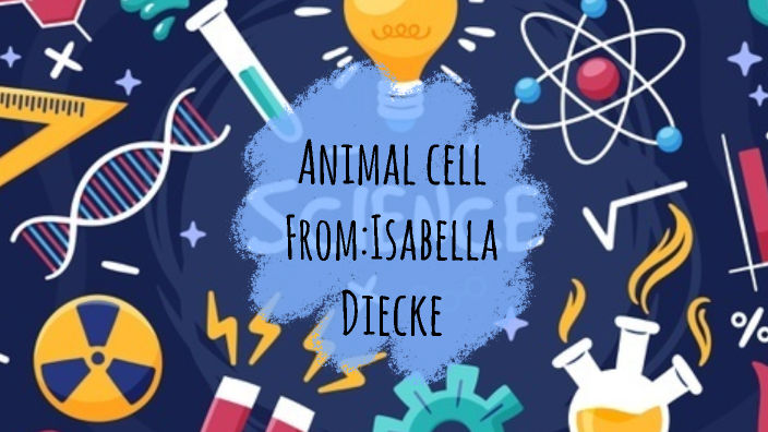Animal Cell by Isabella Erazo on Prezi
