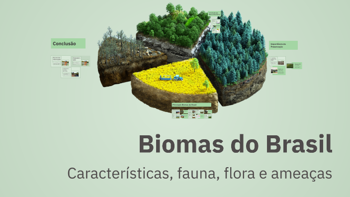 Biomas do Brasil by Gabrielly Rodrigues on Prezi