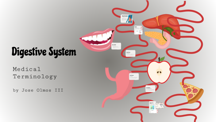 Digestive System by José Olmos on Prezi