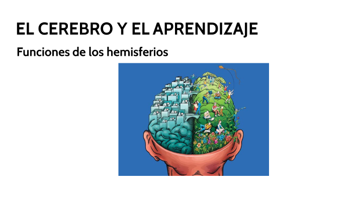 EL CEREBRO Y EL APRENDIZAJE by ilenia anastasi on Prezi