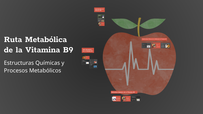 ruta-metab-lica-de-la-vitamina-b9-by-putine-onichan-on-prezi