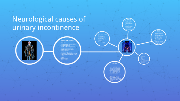 neurological-causes-of-urinary-incontinence-by-alice-forsyth