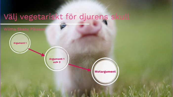 äta mindre kött argument äta mindre kött argument