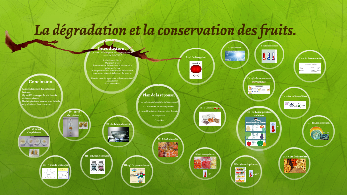 La dégradation et la conservation des fruits. by Coralie Vallaude