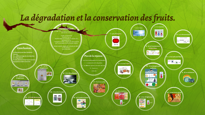 La D gradation Et La Conservation Des Fruits By Coralie Vallaude On Prezi
