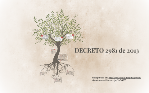 decreto 2981 13