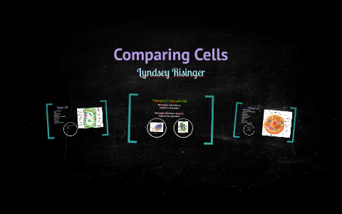 Cells Comparison by lyndsey risinger on Prezi