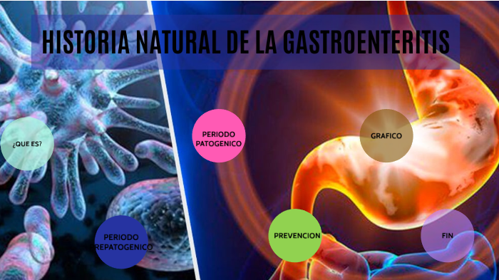 Historia Natural De La Enfermedad Gastroenteritis prezi.com