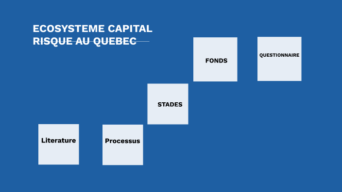 Capital Risque Projet By Ayoub Ebrahimi On Prezi