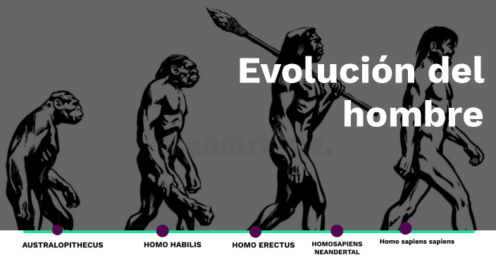 Evolución del hombre by Dayannis Perez Altamiranda on Prezi