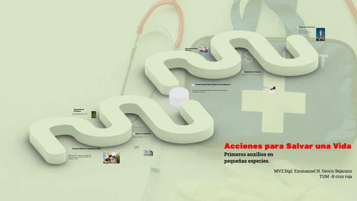 Acciones para Salvar una Vida by Emmanuel Nazareth Osorio Bejarano on Prezi