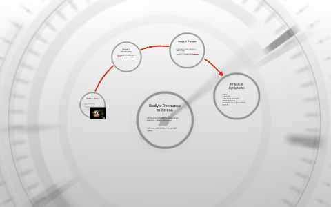 Body's Repsonse to Stress by Laura Ellis on Prezi