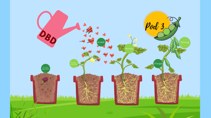 Pod 3 Graduation by natasha austin on Prezi