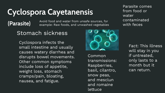 Cyclospora Cayetanesis by Sergio Herrera