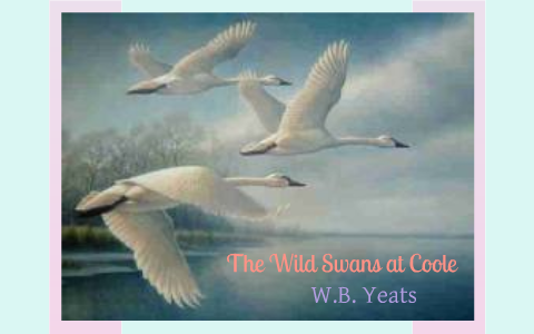 the wild swans at coole