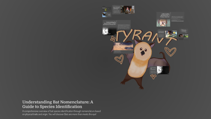 Understanding Bat Nomenclature: A Guide to Species Identification by ...