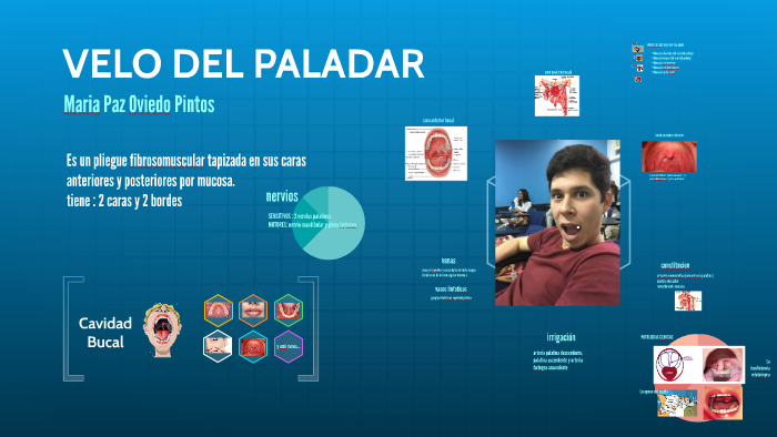 VELO DEL PALADAR by Ricardo Mendoza on Prezi