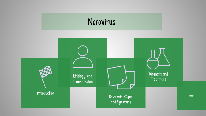 norovirus presentation prezi