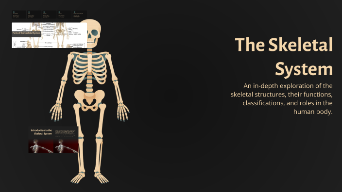 The Skeletal System by HUDA OMER ALI on Prezi