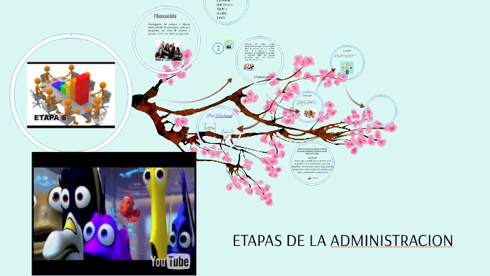 ETAPAS DE LA ADMINISTRACION by Cecilia Cruz on Prezi