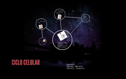 CICLO CELULAR by on Prezi