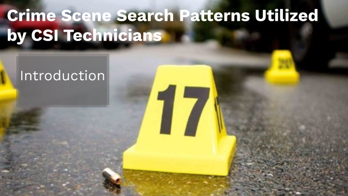 Crime Scene Search Patterns Utilized by CSI Technicians by Destanee ...