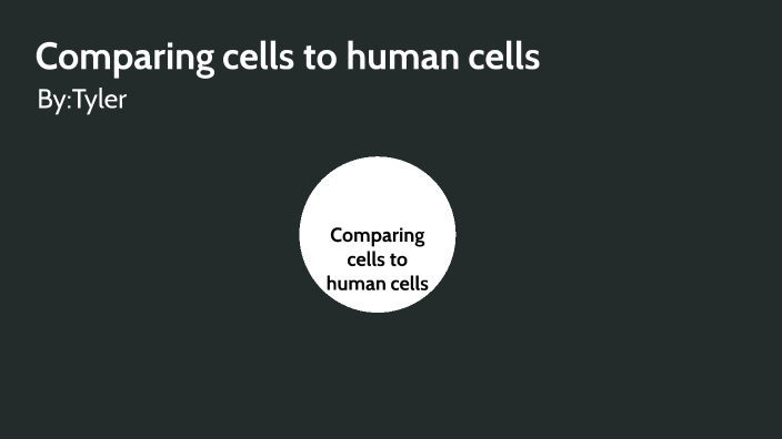 Comparing cells to human organs by Tyler Ellis on Prezi