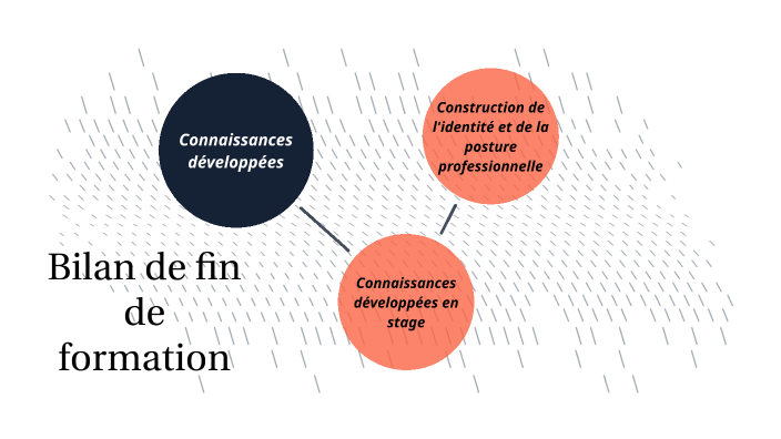 Bilan de formation by Maellen Gerbaud on Prezi