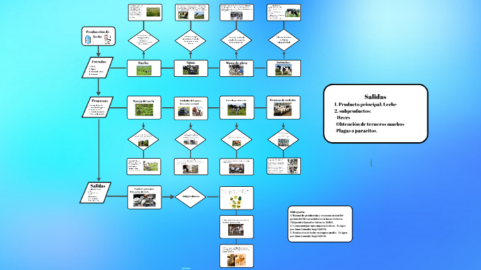 Diagrama producción de leche by KAREN NATALIA JIMÉNEZ CARREÑO on Prezi