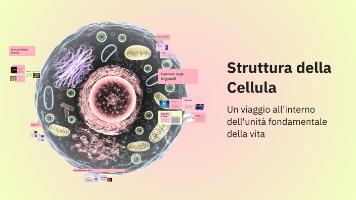 Struttura della Cellula by Sofia Giancarli on Prezi