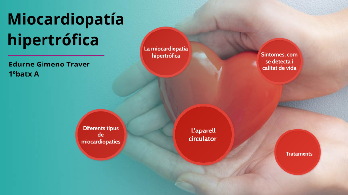 la miocardiopatía hipertrófica by edurne gimeno traver on Prezi