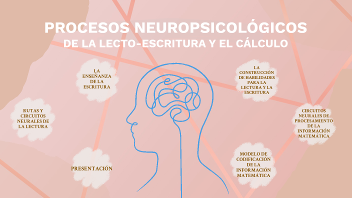 PROCESOS NEUROPSICOLÓGICOS DE LA LECTO-ESCRITURA Y EL CÁLCULO by ...