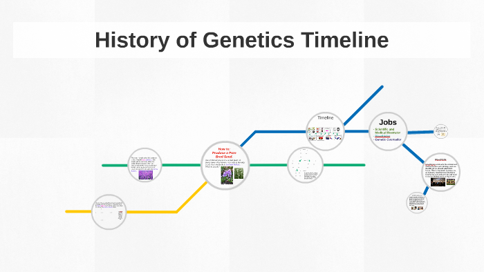History Of Genetics Timeline By Caitlin Ehrhart 