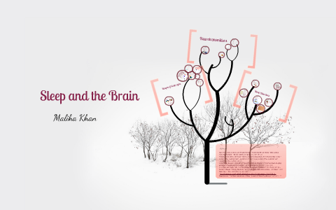 Sleep and the Brain by Maliha Khan on Prezi