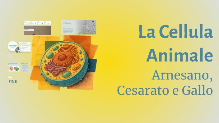 La Cellula Animale by sofia gallo on Prezi