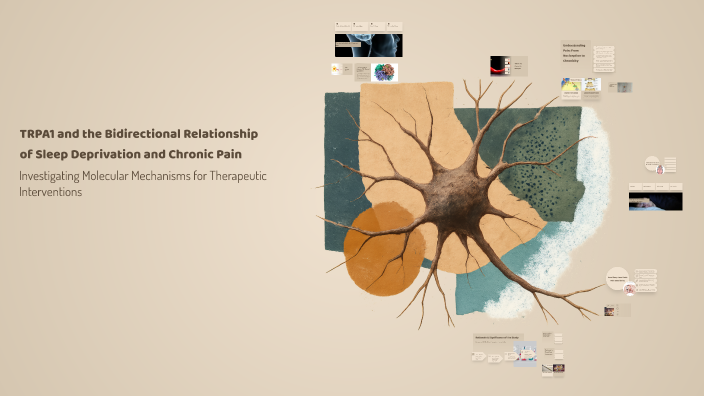 TRPA1 and the Bidirectional Relationship of Sleep Deprivation and ...