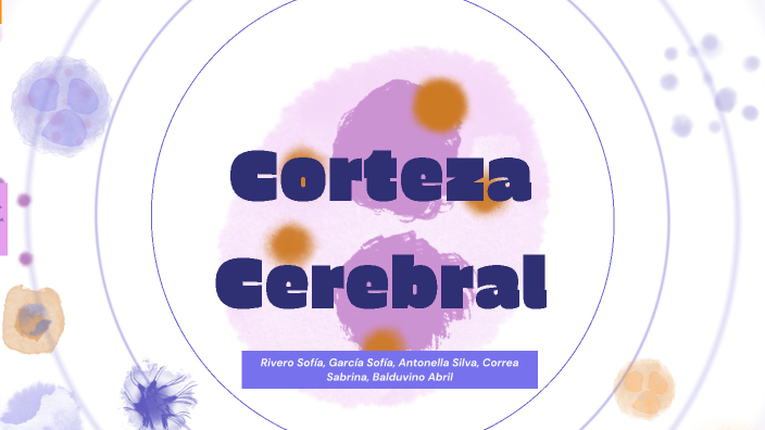 corteza cerebral by Maria Balduvino on Prezi