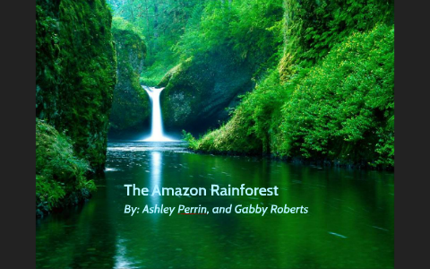 The Amazon Rainforest by Ashley Perrin on Prezi