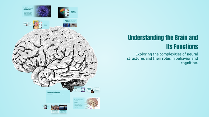 Understanding the Brain and Its Functions by AVERY MARTIN on Prezi