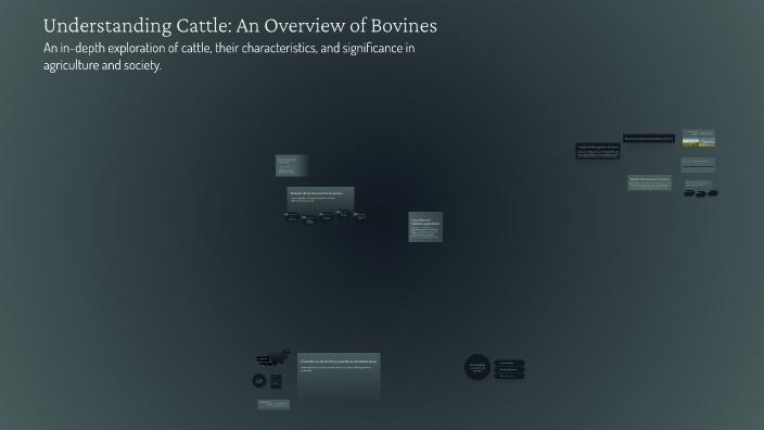 Understanding Cattle: An Overview of Bovines by Johan Rubio on Prezi