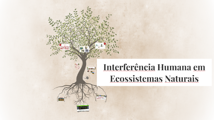 Interferência Humana em Ecossistemas Naturais by Sandy Costa Gonçalves ...