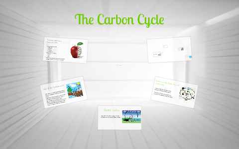 The Carbon Cycle by Melissa Almento on Prezi