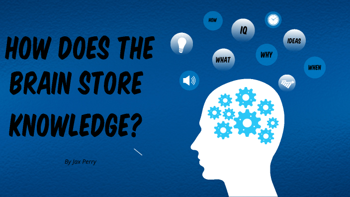 how-does-the-brain-store-knowledge-by-jax-perry