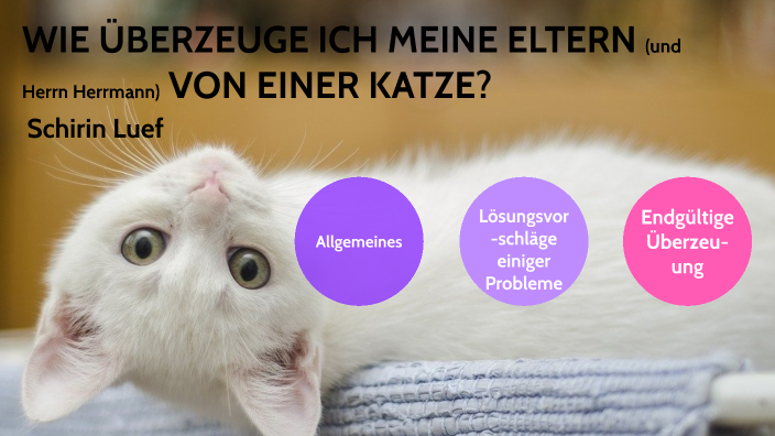 Wie Uberrede Ich Meine Eltern